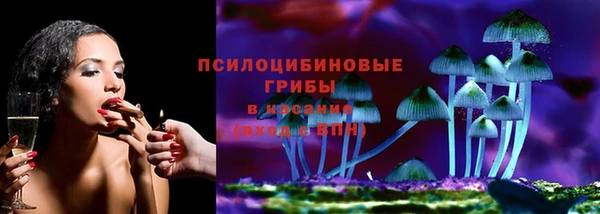 прущие грибы Баксан