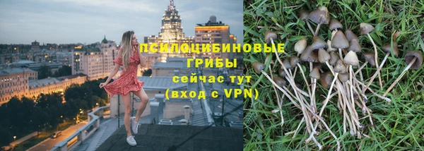 прущие грибы Баксан