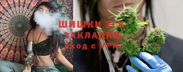 прущие грибы Баксан