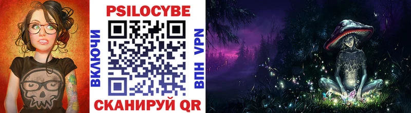 как найти закладки Нязепетровск Галлюциногенные грибы Psilocybe